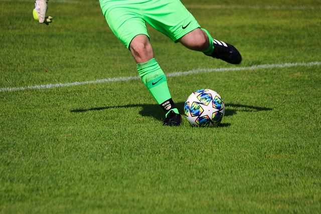 挥重要作用 挥重要作用