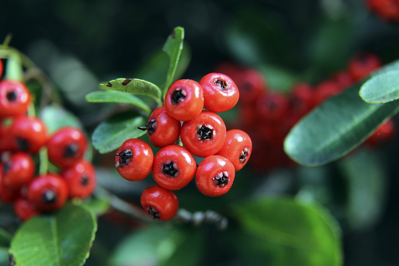 辉煌篇章 辉煌篇章