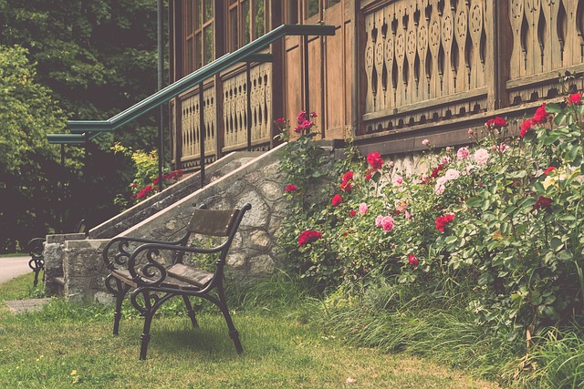 然而布莱顿 然而布莱顿