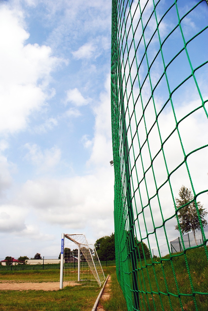 非凡技艺再 非凡技艺再