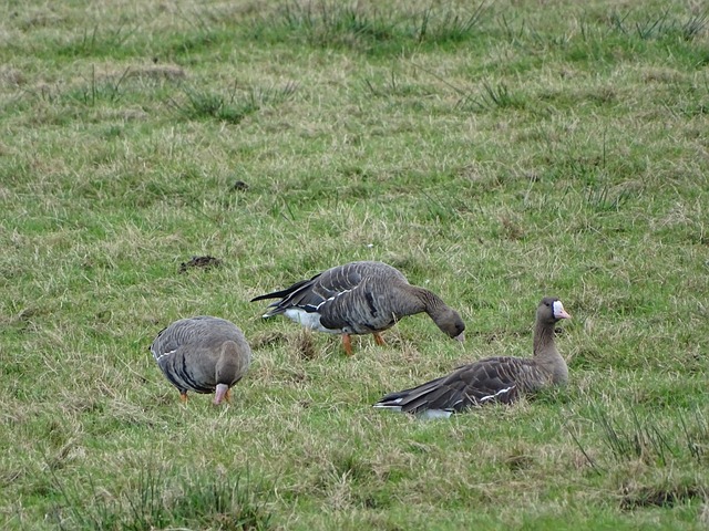 球博彩的乐 球博彩的乐