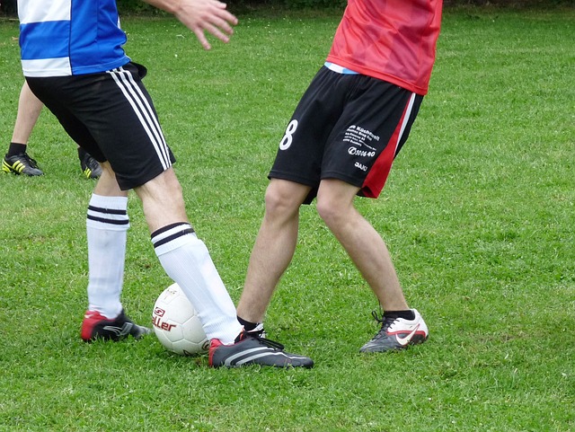 种坚持的力 种坚持的力